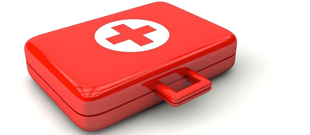 ZOO & Co. gibt wertvolle Ratschläge zur Gesundheit des Hundes